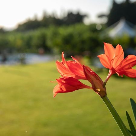 Agriturismo San Leonardello Εξωτερικό φωτογραφία